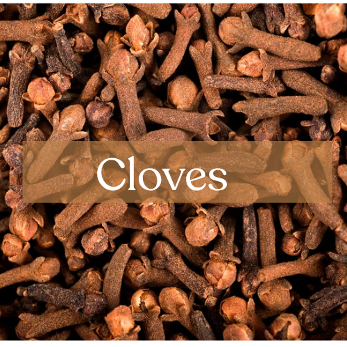 Cloves - Protection & Prosperity Magic | Esoteric Roots