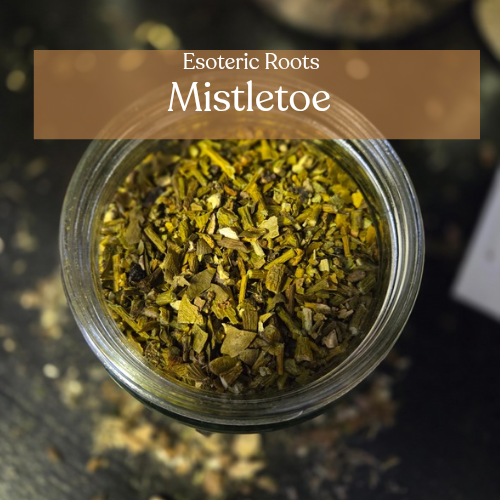 Mistletoe (Dried) | Protection & Love Magic | Esoteric Roots