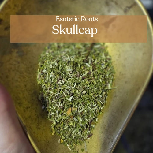 Skullcap for Peace & Tranquillity | Esoteric Roots