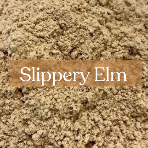 Slippery Elm - Communication & Persuasion Magic | Esoteric Roots 10g