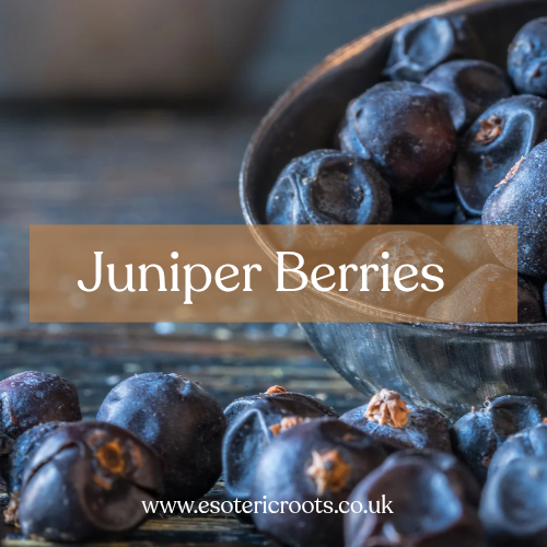 Juniper Berries 30g - Protection & Purification Magic | Esoteric Roots