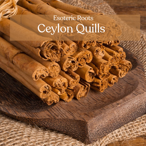Ceylon Cinnamon Quills (True Cinnamon) | Prosperity & Protection | Esoteric Roots 25g