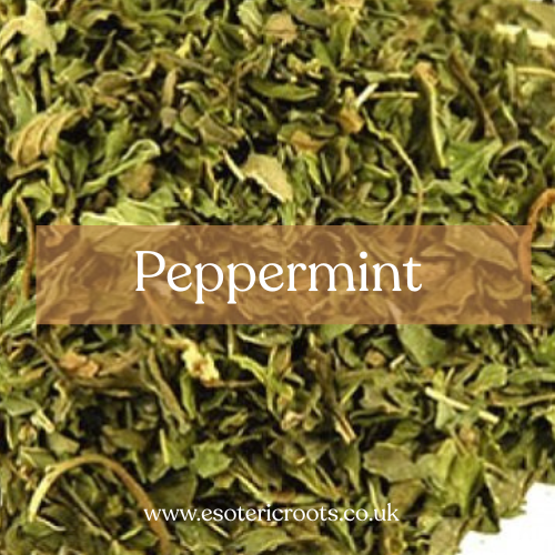 Peppermint - Purification & Healing Magic | Esoteric Roots