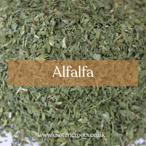 Alfalfa - Prosperity & Abundance Magic | Esoteric Roots