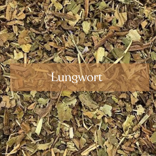 Lungwort - Healing & Respiratory Magic | Esoteric Roots