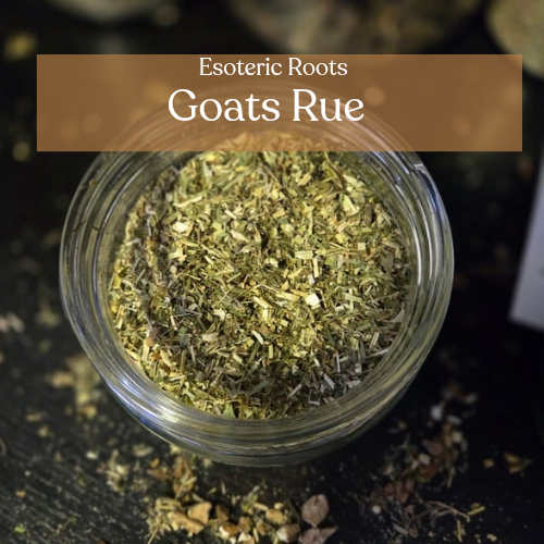Goat's Rue | Prosperity & Healing | Esoteric Roots