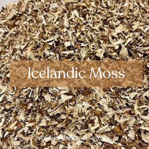 Icelandic Moss - Prosperity & Protection Magic | Esoteric Roots