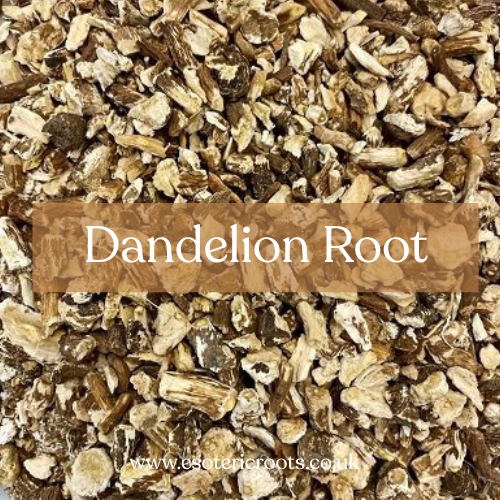 Dandelion Root - Divination & Wish Magic | Esoteric Roots