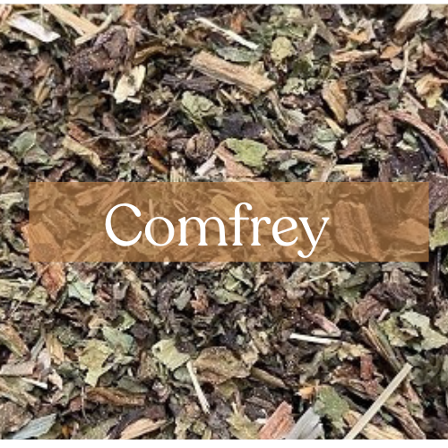 Comfrey - Healing & Protection | Esoteric Roots