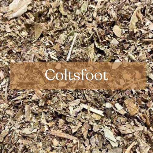 Coltsfoot Herb - Divination & Peace Magic | Esoteric Roots