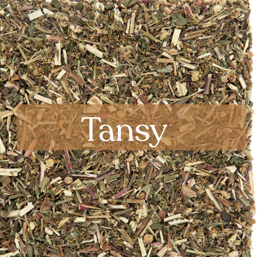 Tansy - Protection & Immortality Magic | Esoteric Roots
