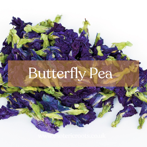 Butterfly Pea Flower 25g - Transformation & Beauty Magic | Esoteric Roots