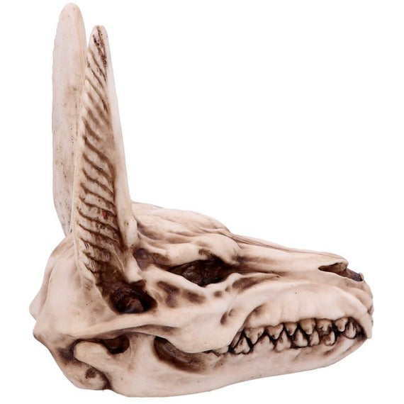 Anubis Skull Egyptian God