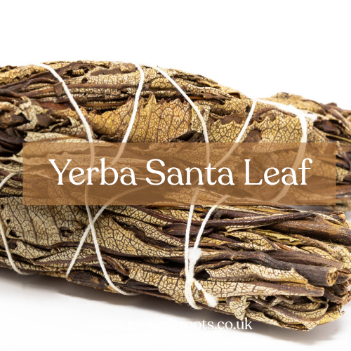 Yerba Santa 200g - Protection & Healing Magic | Esoteric Roots