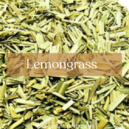 Lemongrass  - Cleansing & Psychic Magic | Esoteric Roots