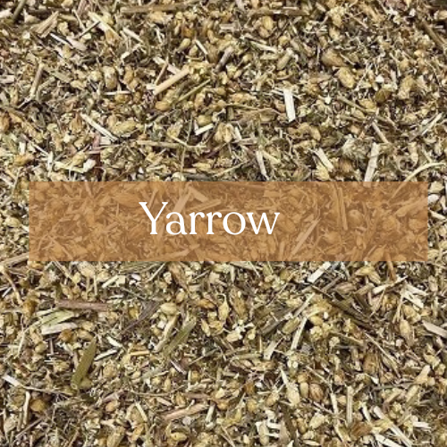 Yarrow