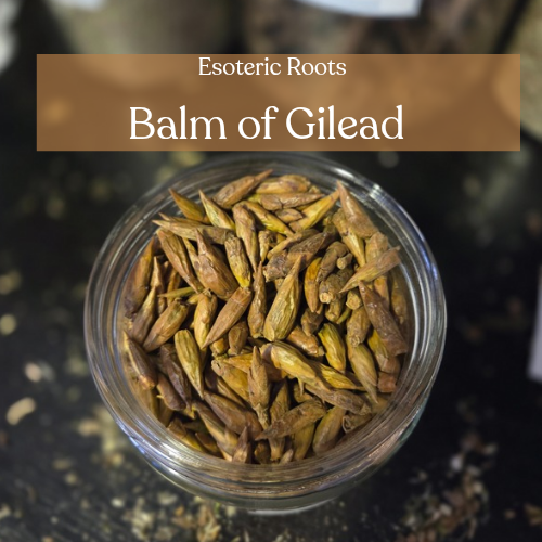 Balm of Gilead | Healing & Protection | Esoteric Roots 20g