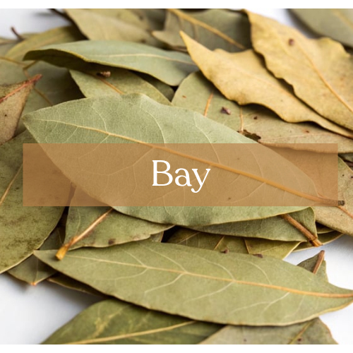 Bay Laurel Leaves - Victory & Psychic Magic | Esoteric Roots