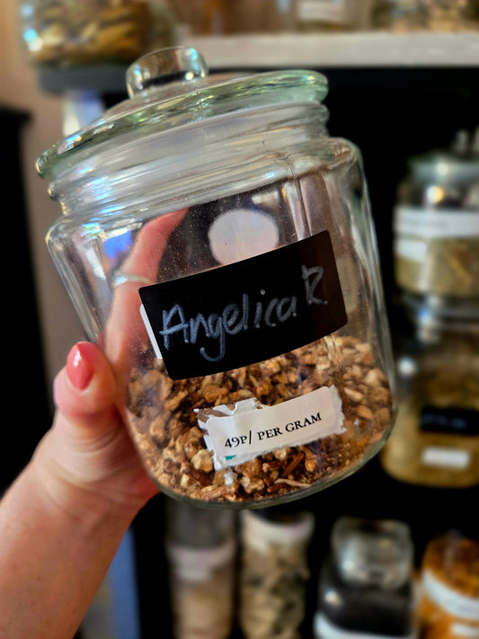 Angelica Root ( Spells, Rituals, Incense)
