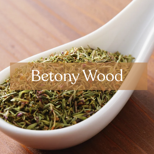 Betony Wood - Protection & Exorcism Magic | Esoteric Roots