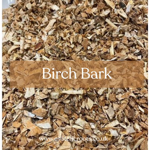 Sacred Birch - Renewal & Protection Magic | Esoteric Roots