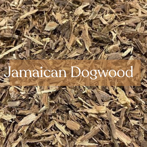 Jamaican Dogwood 50g - Sleep Magic & Dream Work | Esoteric Roots