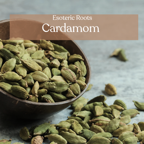 Green Cardamom - Love & Prosperity Magic | Esoteric Roots 25g