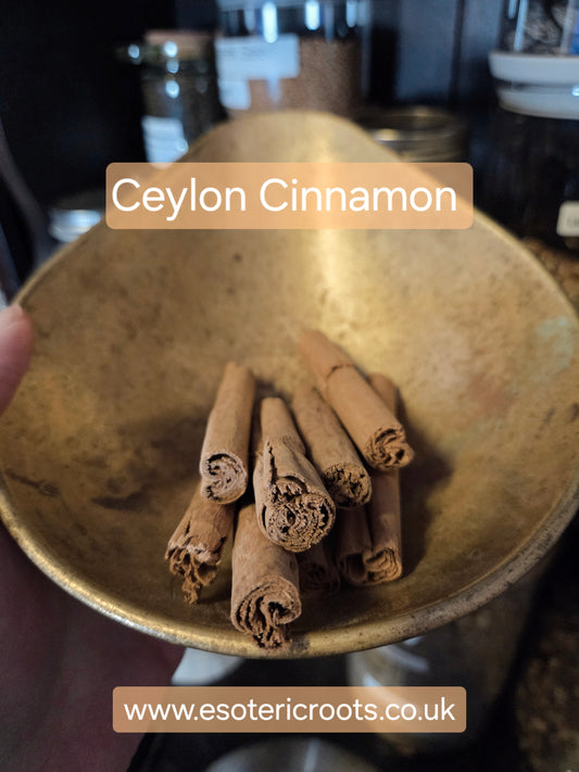 Ceylon Cinnamon Quills (True Cinnamon) | Prosperity & Protection | Esoteric Roots 25g