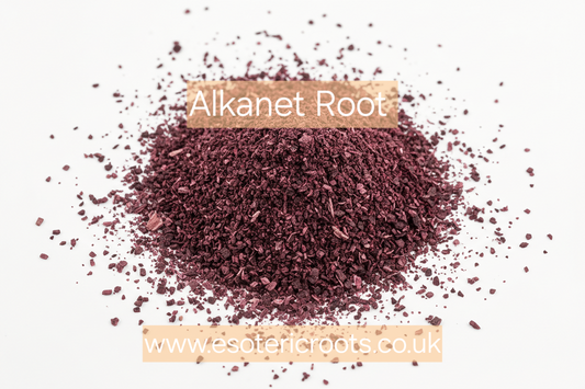 Alkanet Root - Love Magic & Divination | Esoteric Roots