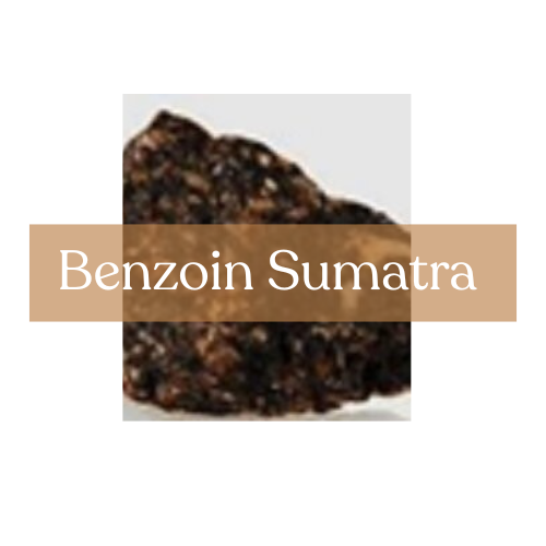 Benzoin Sumatra - Purification & Prosperity Magic | Esoteric Roots 25g