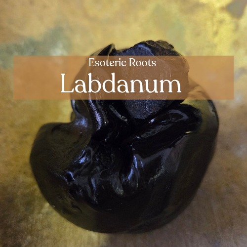 Labdanum Resin - Love Magic and Protection Spells | Esoteric Roots 30g