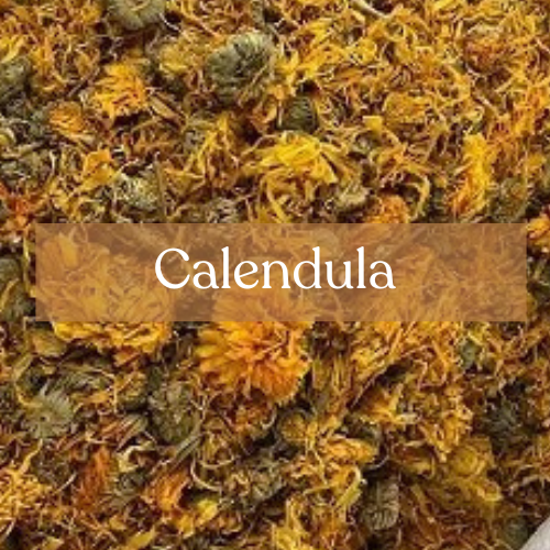 Calendula - Healing & Protection Magic | Esoteric Roots