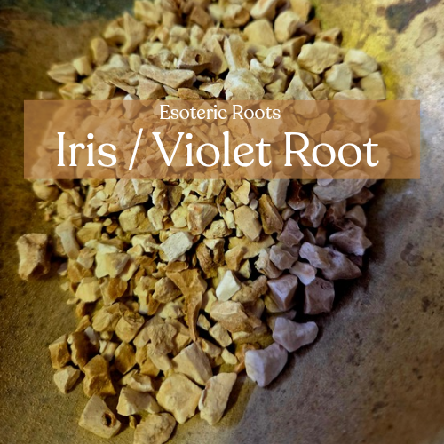 Iris/Violet/Orris Root - Love Magic and Divination Spells | Esoteric Roots
