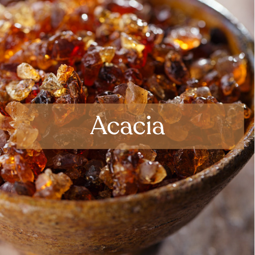Sacred Acacia Gum - Protection & Purification Magic | Esoteric Roots