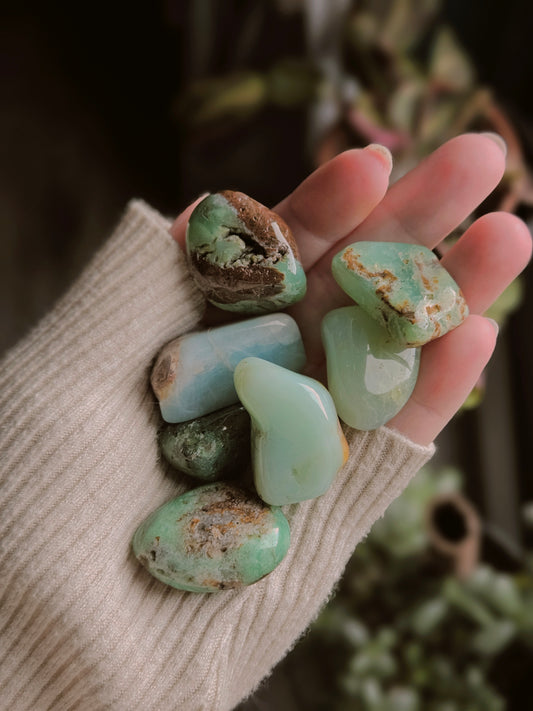 Chrysoprase Tumble