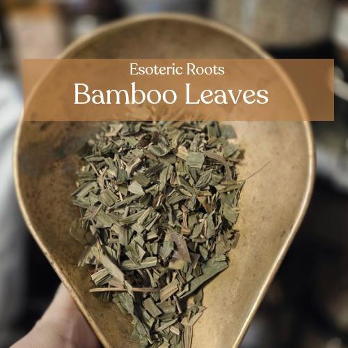 Bamboo Leaves - Flexibility & Protection | Esoteric Roots